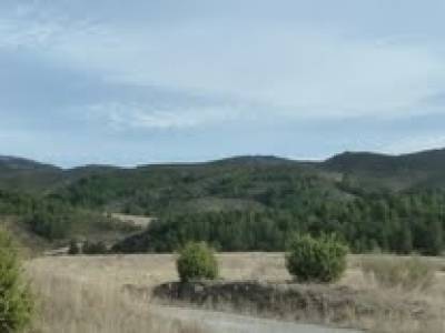 Monasterio de Bonaval - Cañón del Jarama - Senderismo Guadalajara;senderismo la rioja 